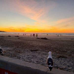 Meet your Posher, Summer